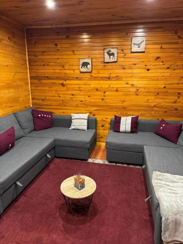 Mountain Lodge T3 Duplex Abrigo Do Lobo Ковілян Екстер'єр фото